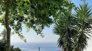 Un'area erbosa con una panchina in pietra, una palma e vista sul mare.