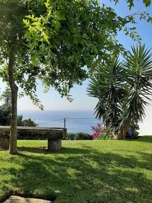 Ein Rasen mit einer Steinsitzbank, einer Palme und Blick aufs Meer.
