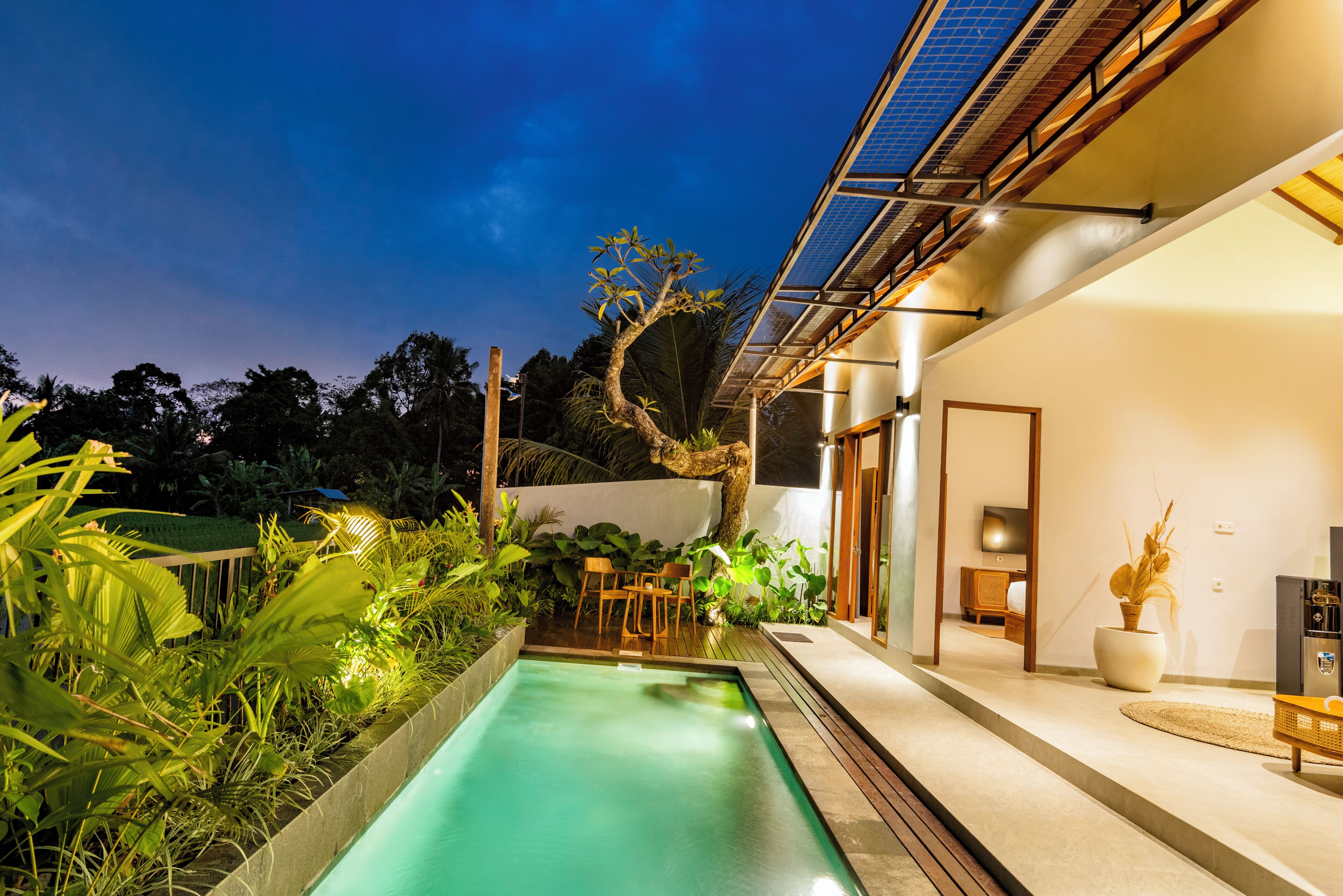 A modern house with a swimming pool, solar panels, and lush greenery.