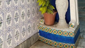 A corner with a blue telephone, a potted plant, and a decorative urn. - Dar Massmoudi (Tunis)