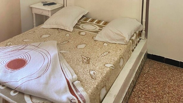 A single bed with a patterned bedspread, two pillows, a nightstand with a lamp, and a wall with a leaf pattern. - Dar Massmoudi (Tunis)