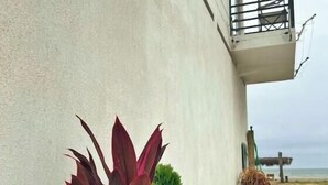 Property grounds - S1 Beautiful private suite with balcony, kitchen, TV, and bathroom; king-size bed (Montañita)