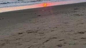 Playa
