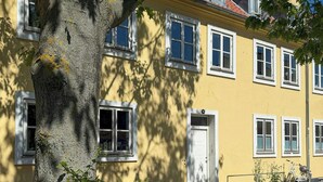A yellow building with multiple windows and a tree in the foreground. - Light apartment with classic details in Copenhagen (København)