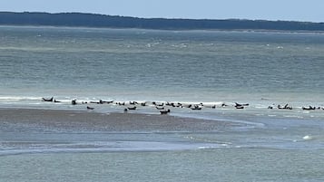 Am Strand