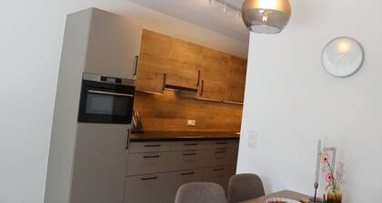 Modern apartment in the Tyrolean mountains