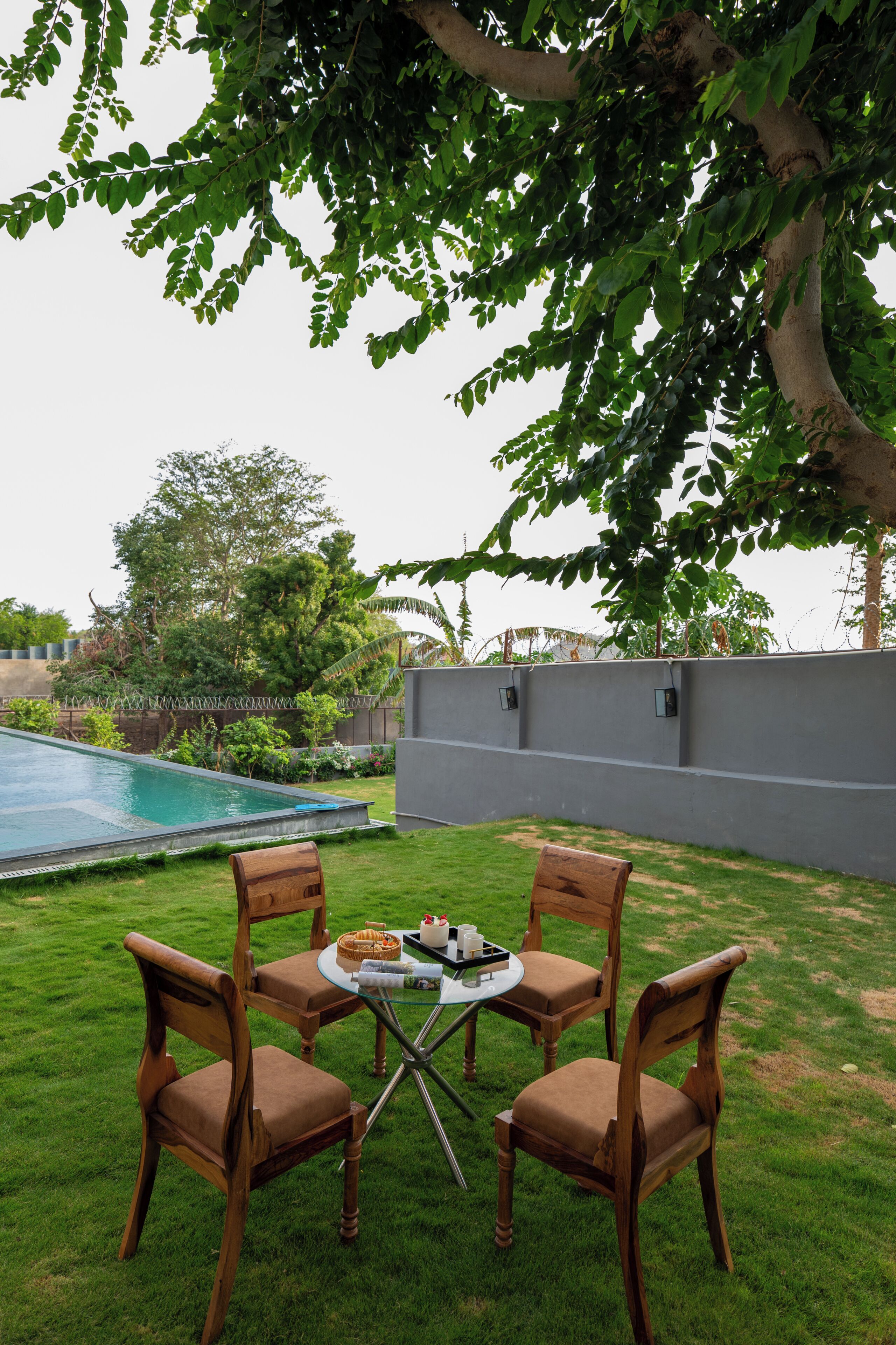 Un patio con piscina, rodeado de césped y un árbol.