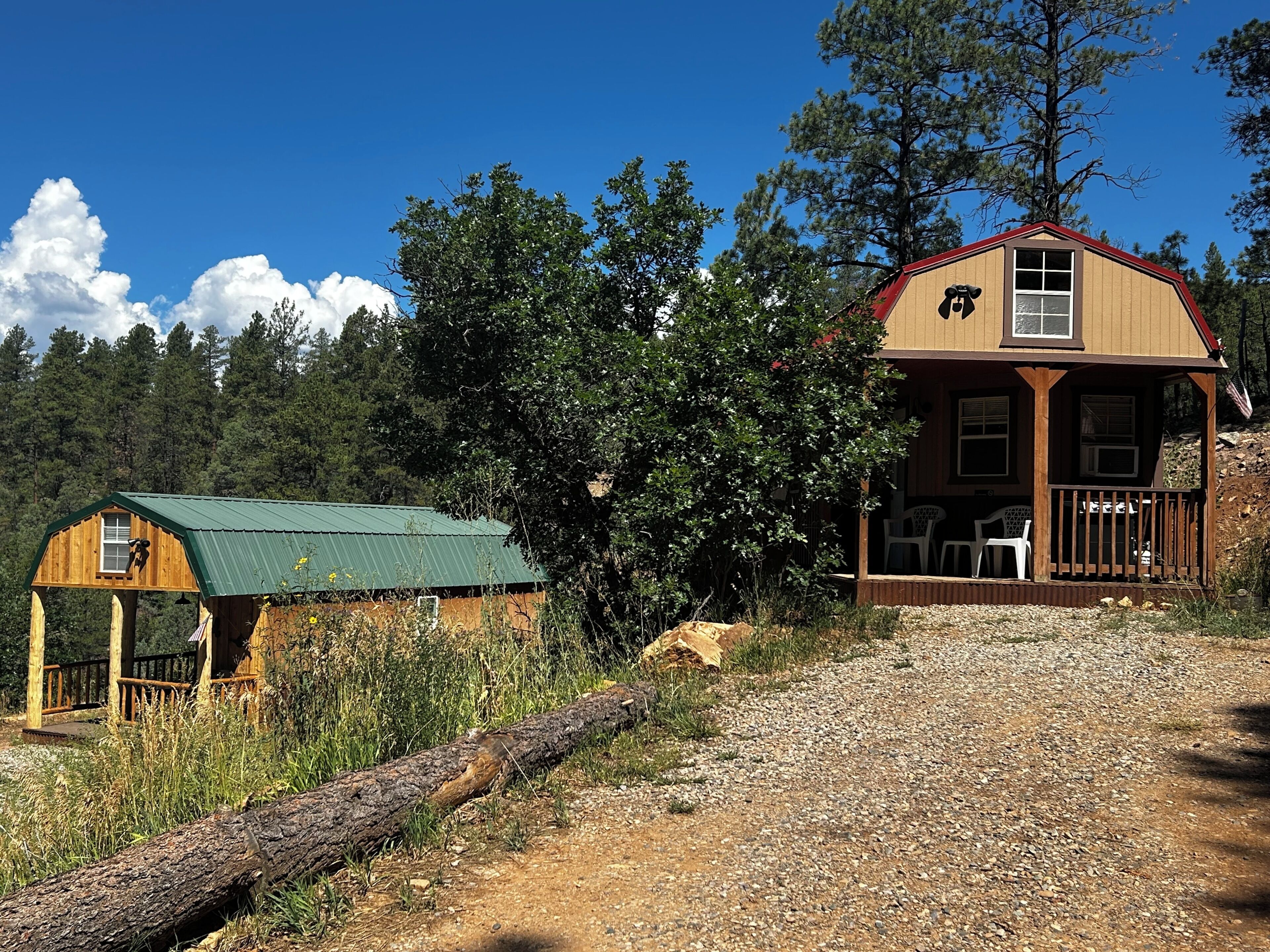 Une cabane rustique avec un toit végétalisé, une véranda dotée de sièges d’extérieur et un grand arbre en arrière-plan.