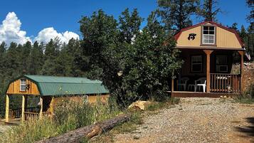 Une cabane rustique avec un toit végétalisé, une véranda dotée de sièges d’extérieur et un grand arbre en arrière-plan.