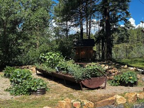 A garden with various plants and a wooden structure.