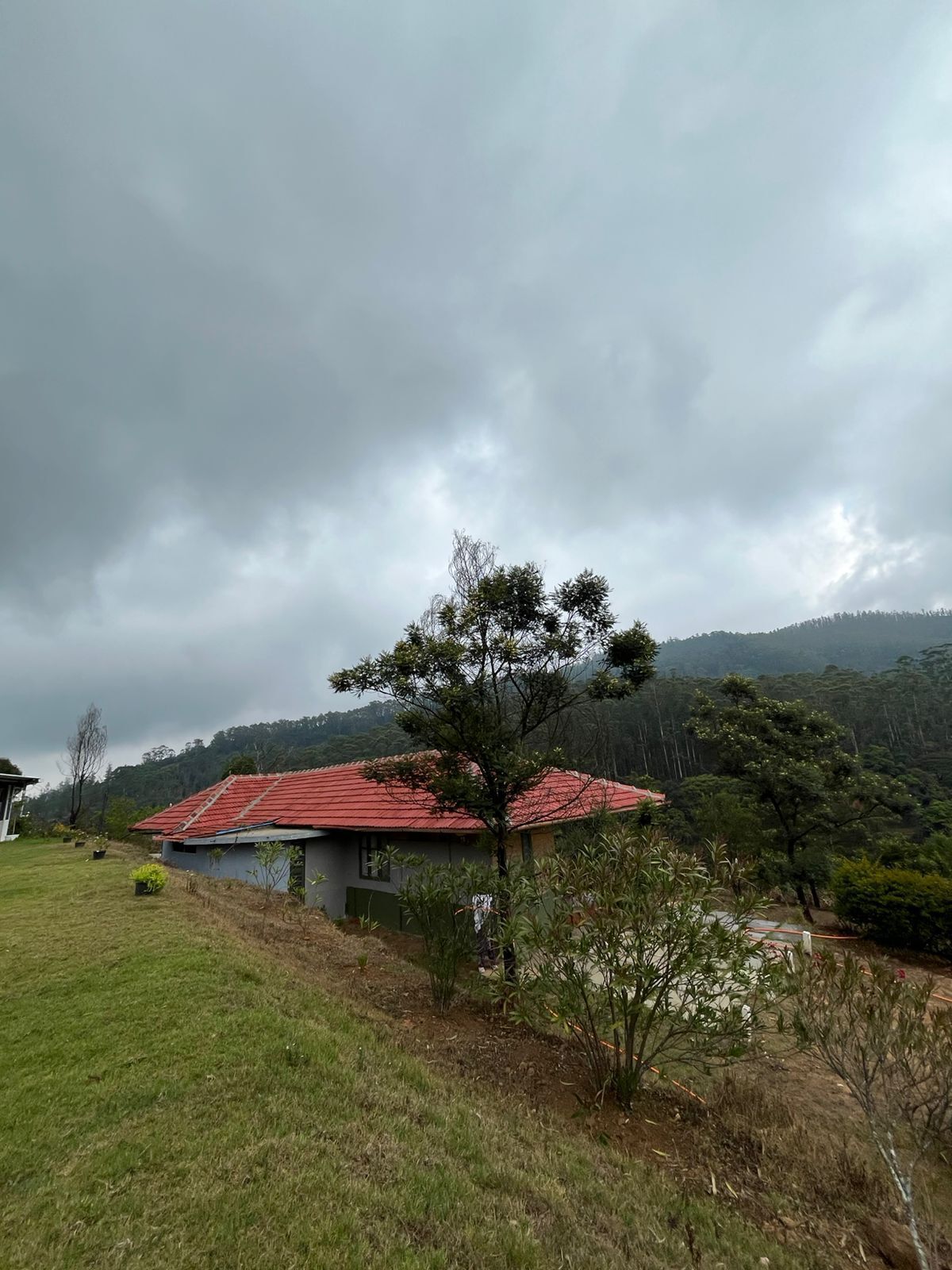 A house with a red roof, surrounded by a grassy area and trees.