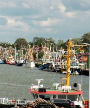 Marina - Sailmaker's House "Genoa" (Büsum)