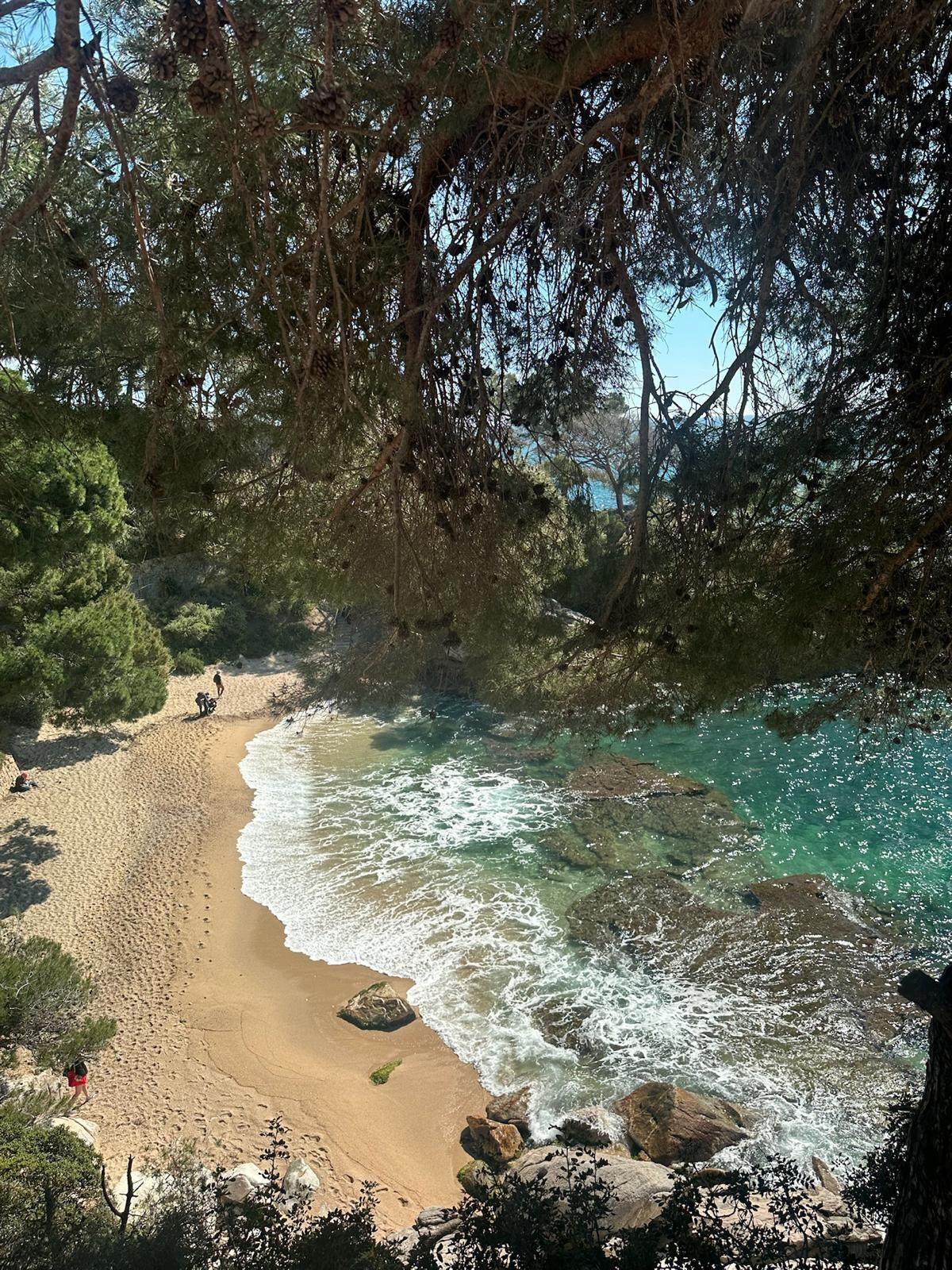 Una spiaggia con acque cristalline turchesi, formazioni rocciose e vegetazione lussureggiante.