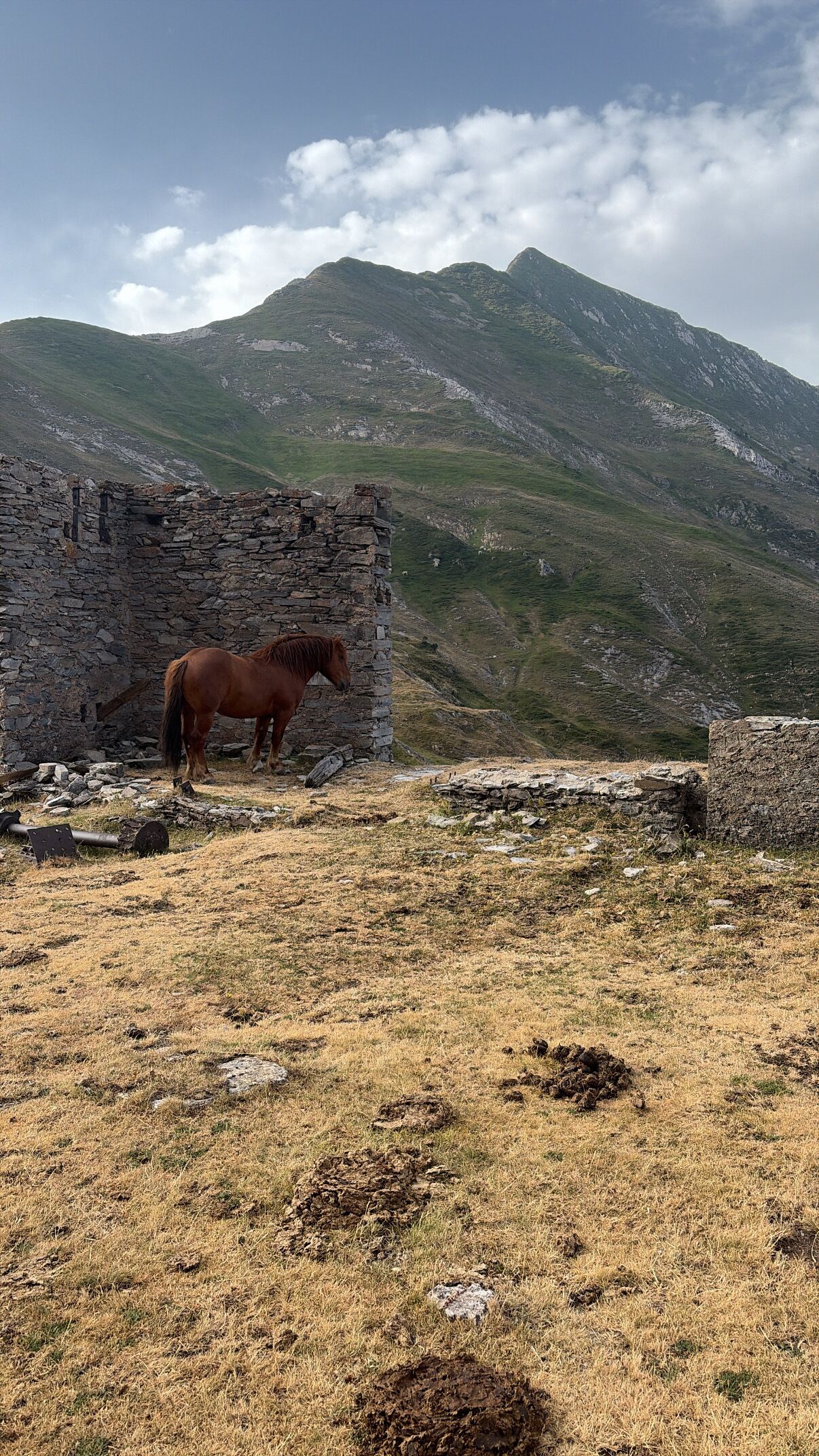 Een paard staat naast een stenen muur in een bergachtig gebied.