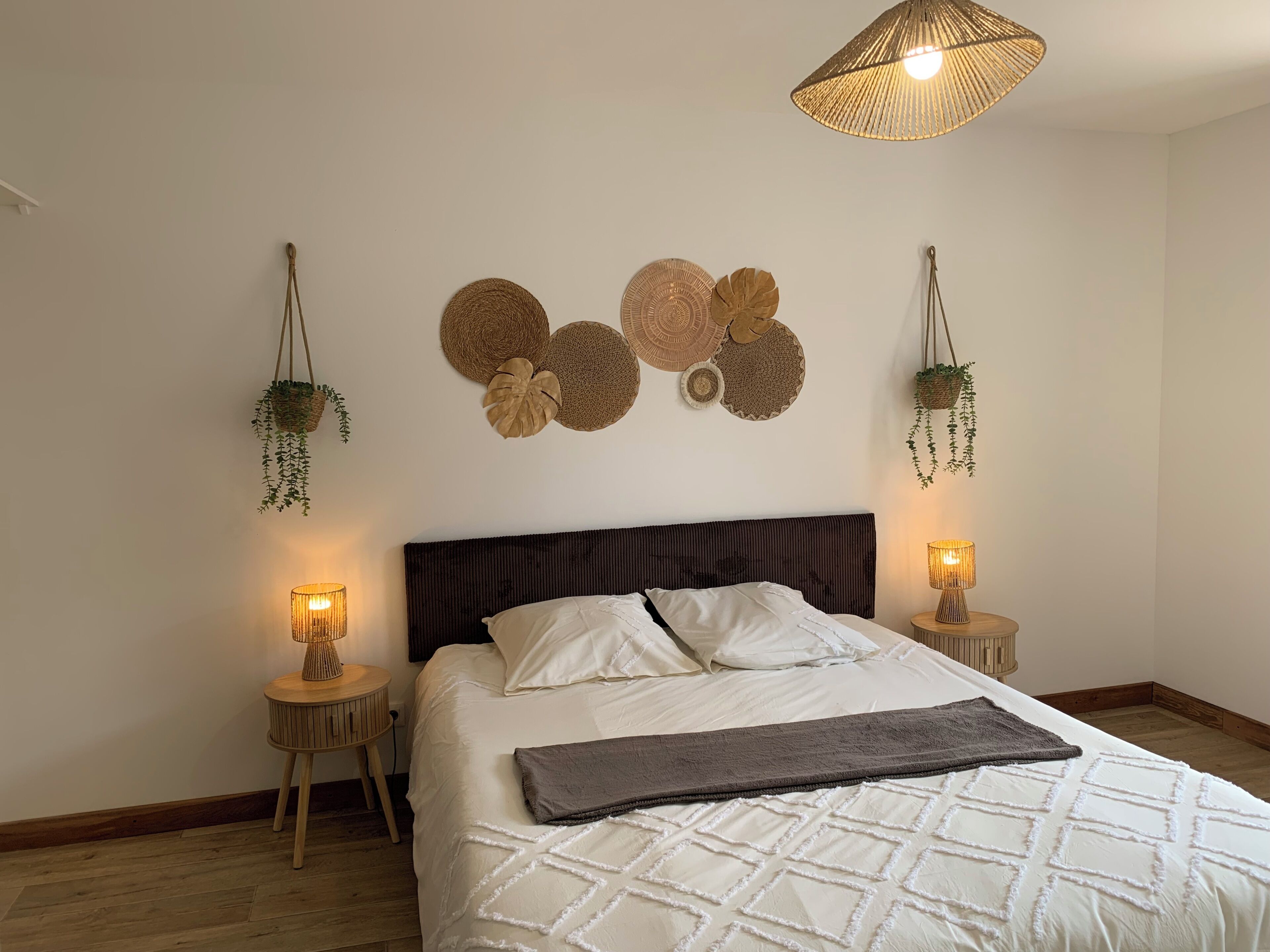 A bedroom with a bed, two bedside tables, a hanging plant, and a wall-mounted light fixture.