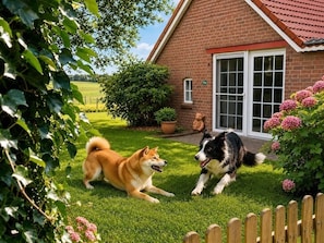 Two dogs in a grassy yard with a brick house and a wooden fence in the background. - Lütt-Huus — for you & your four-legged friend (Blomberg)