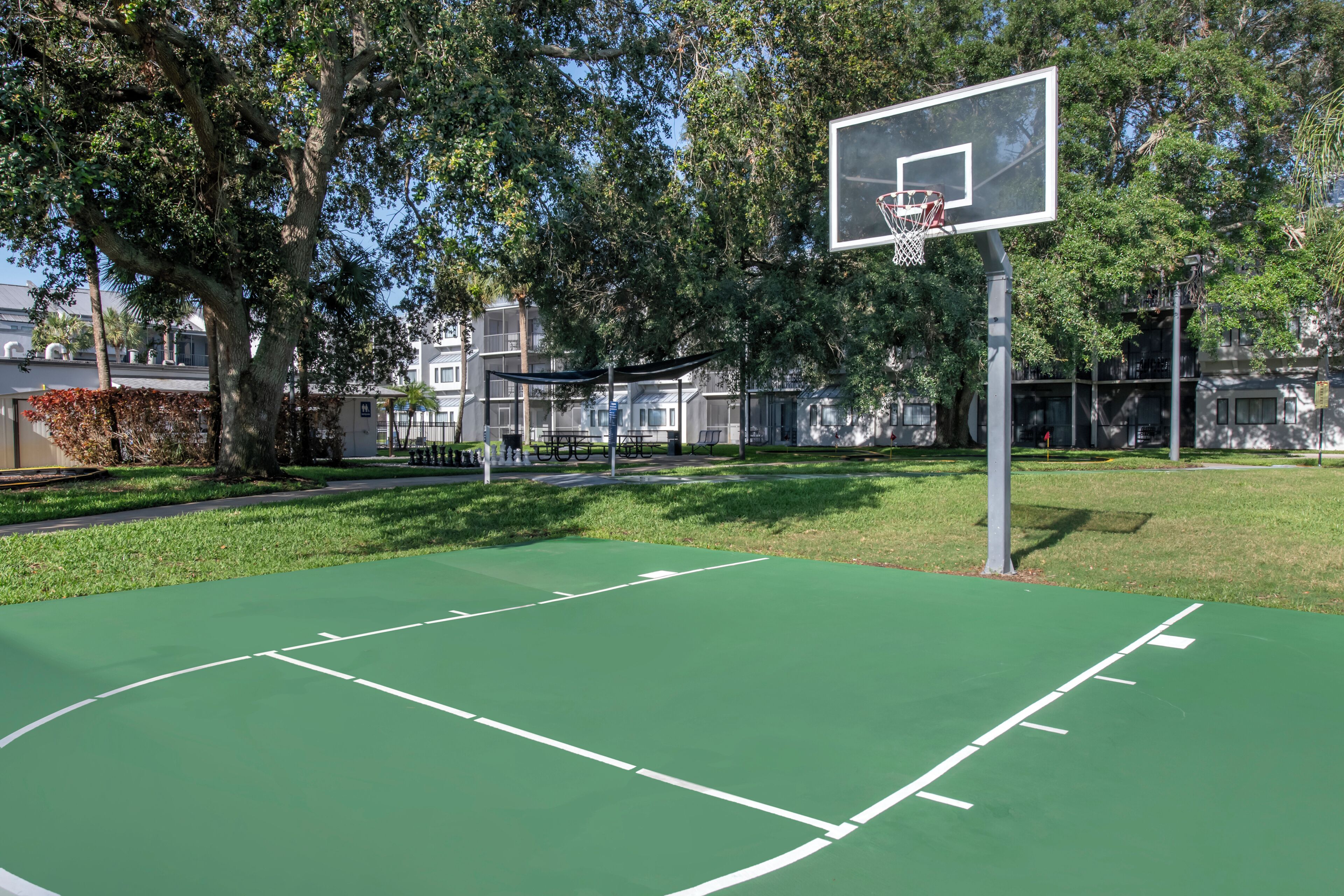 Una cancha de baloncesto al aire libre con un aro, rodeada de árboles y edificios.