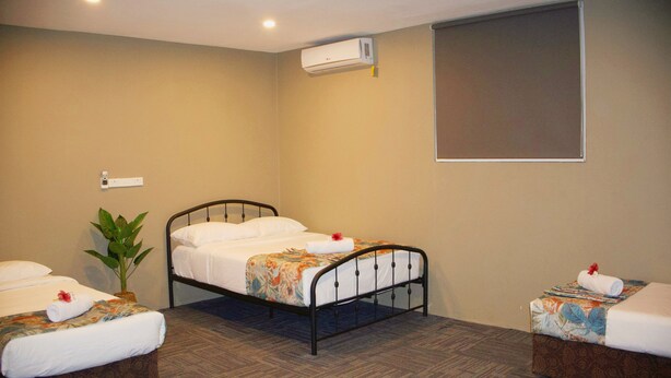 A hotel room with two single beds, a potted plant, and a wall-mounted air conditioner. - Bula Accommodation (Nadi)