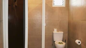 Une salle de bain avec une douche, des toilettes et une petite fenêtre.