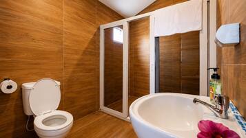 Serviettes fournies, savon, shampoing, papier toilette