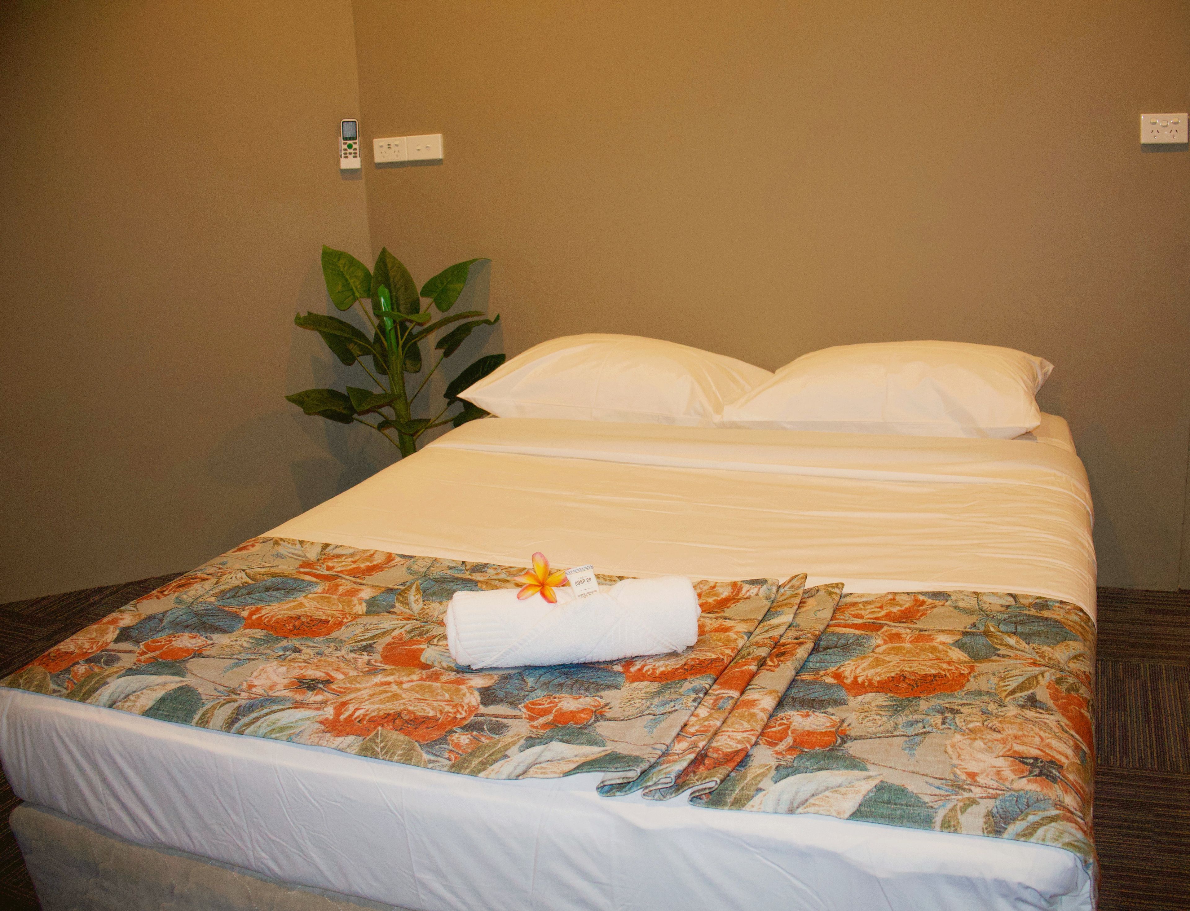 A hotel room with a bed, a plant, and a power outlet on the wall.