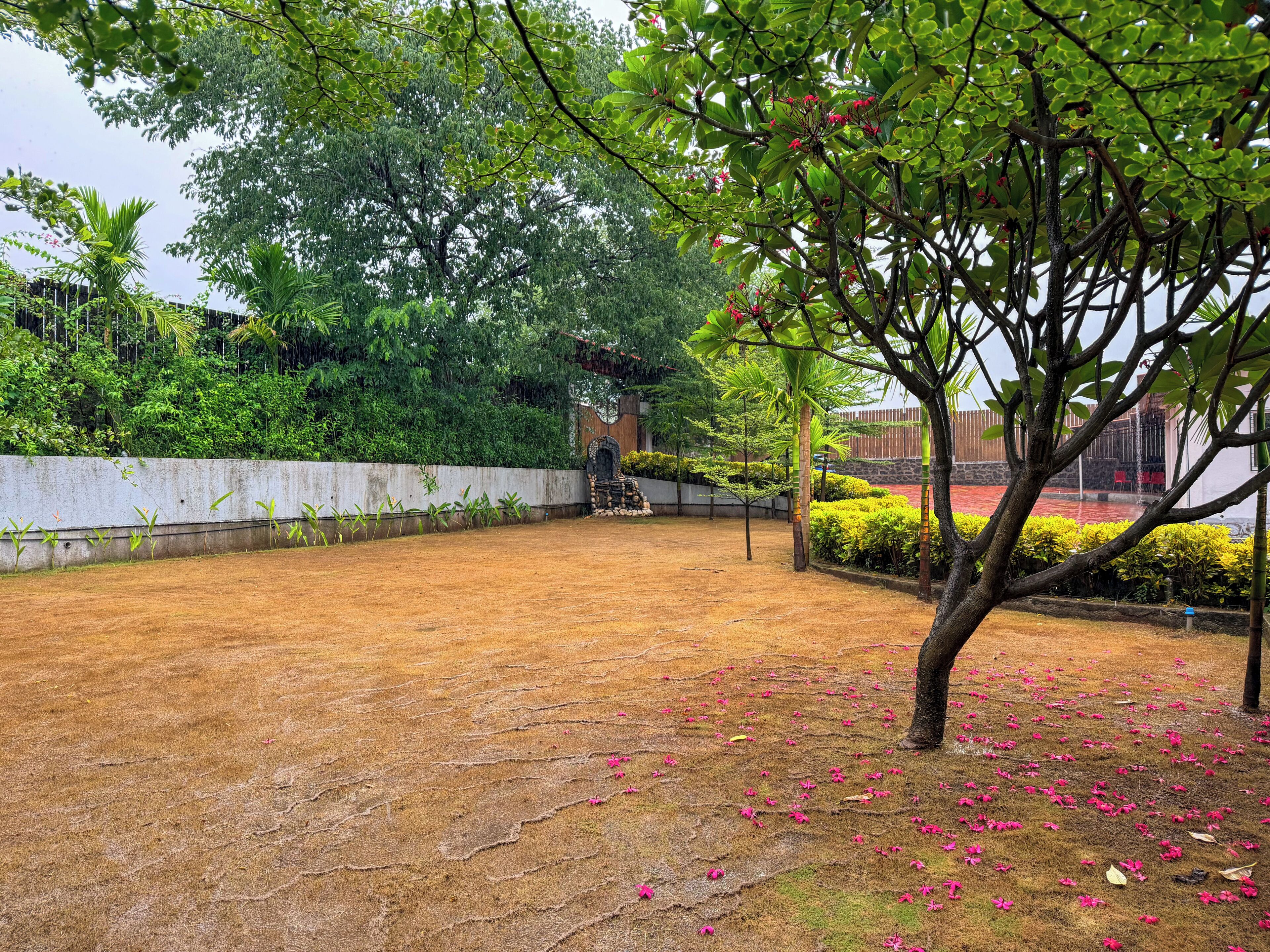 An outdoor area with a dirt ground, trees, and a concrete wall.