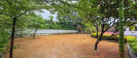 A courtyard with a dry, brown ground, surrounded by lush green trees and a white wall in the background.