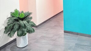Un pasillo con indicaciones, una planta en maceta y una pared azul decorativa.