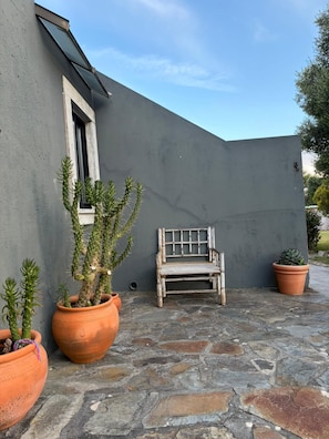 A stone patio with a wooden bench, potted cacti, and a grey wall.
