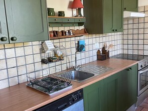 A kitchen with green cabinets, a stainless steel sink, a dish rack, and a stove.