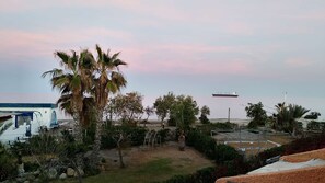 Eine Küstenlandschaft mit einer großen Palme, einem Gebäude mit blauem Dach und einem Frachtschiff in der Ferne.