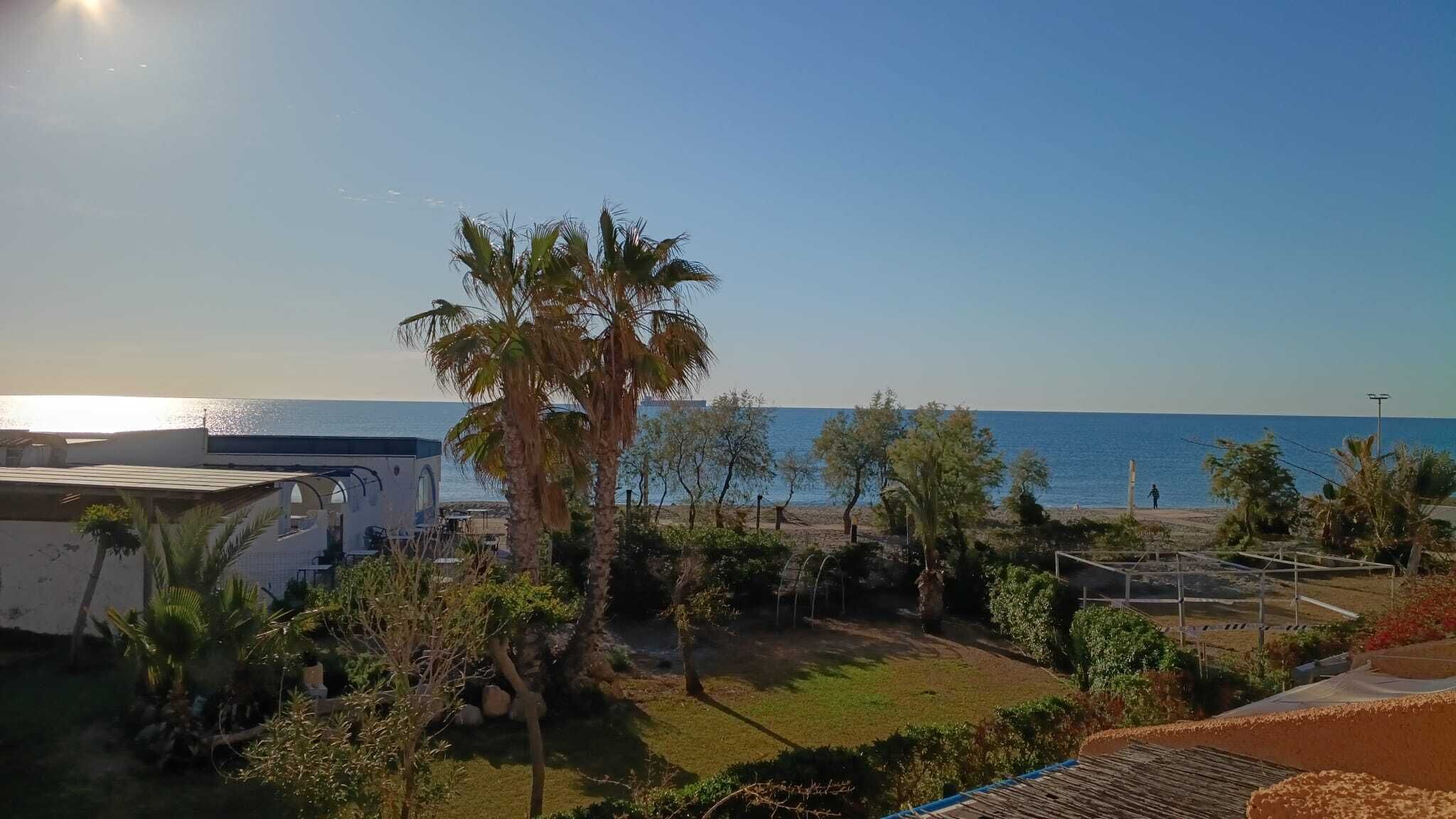 A beachfront property with a clear view of the sea, a palm tree, and a building with a covered outdoor area.