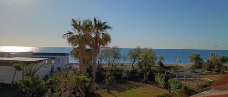 A beachfront property with a clear view of the sea, a palm tree, and a building with a covered outdoor area.