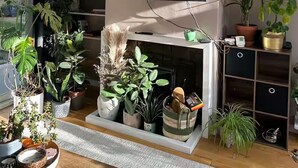 Een woonkamer met een flatscreen televisie boven een open haard, omringd door verschillende potplanten.