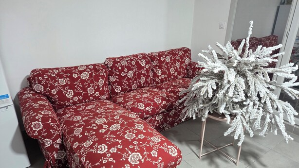 A red floral sofa in a room with a white wall and a white decorative plant. - Accommodation near Lyon Airport, 15 minutes away, room (La Verpillière)