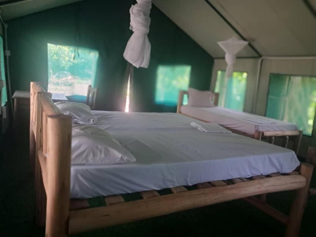 Una habitación tipo tienda de campaña con dos camas de madera, cada una con un colchón y almohadas blancos.