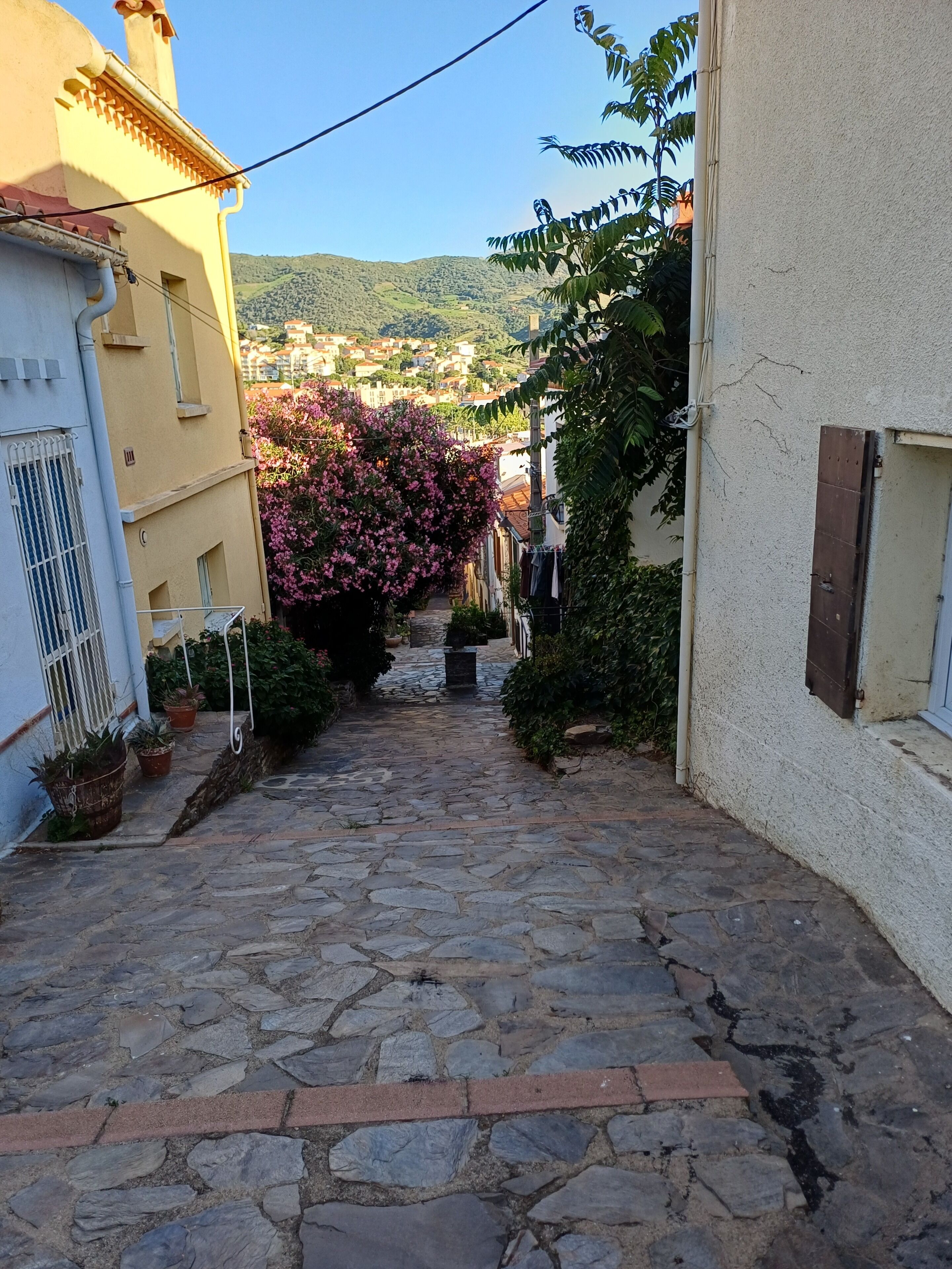 A narrow stone pathway flanked by buildings with balconies and potted plants.