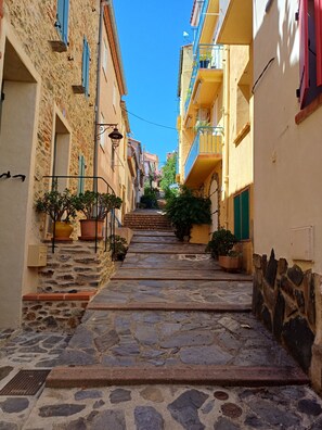 A narrow stone-paved street flanked by buildings with balconies and potted plants. - House in Banyuls-sur-Mer, on a quiet and beautiful pedestrian street 150 meters from the beach (Banyuls-sur-Mer)