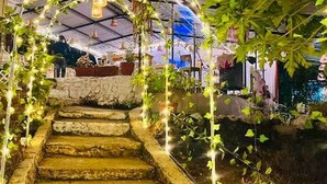 A staircase leading up to a covered area with plants and string lights.