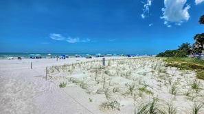 Ein Strand mit Sand, vereinzelter Vegetation und blauem Himmel.