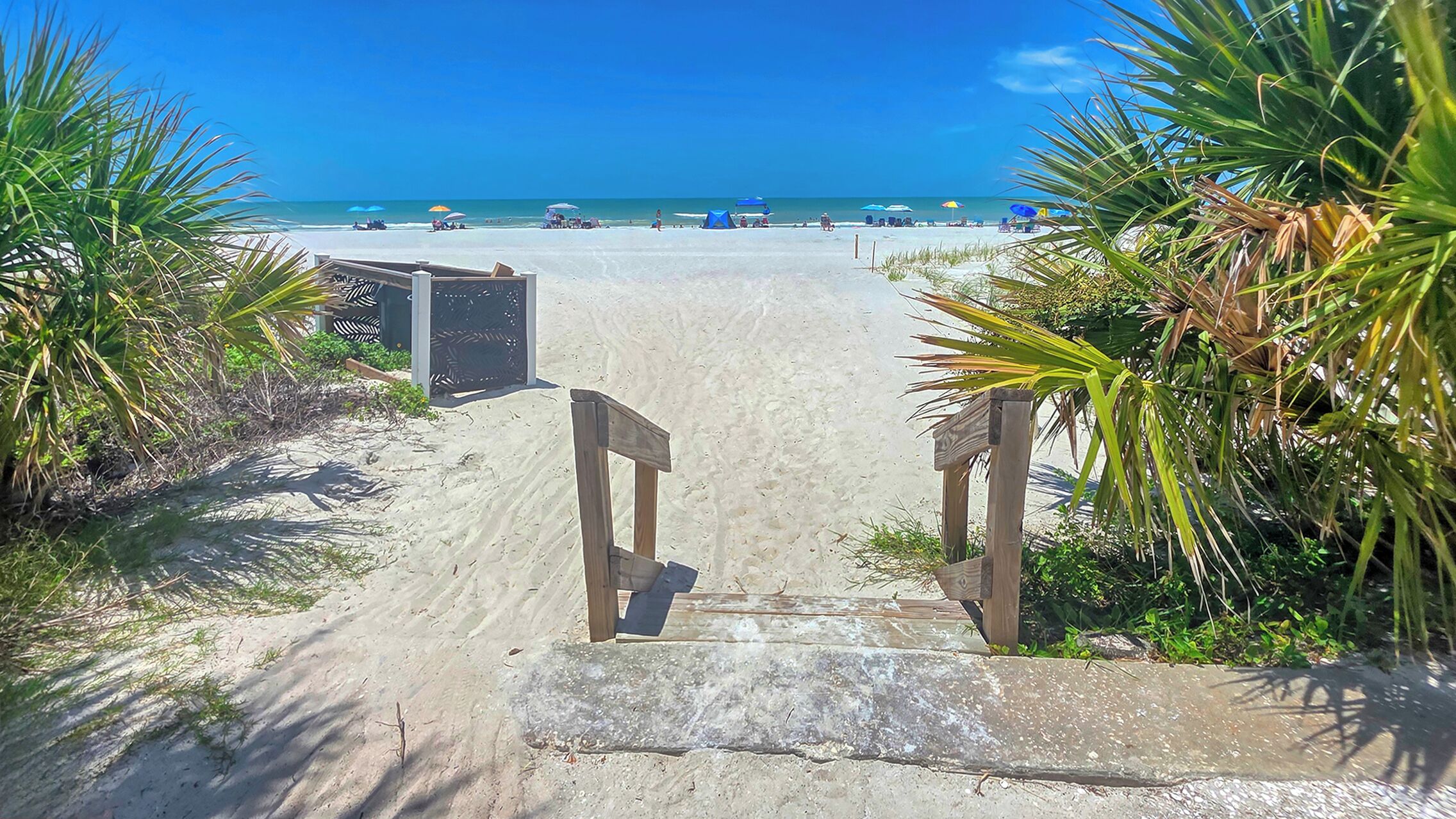 Un sentier de sable qui longe la plage et mène à l’océan, avec des palmiers de chaque côté.