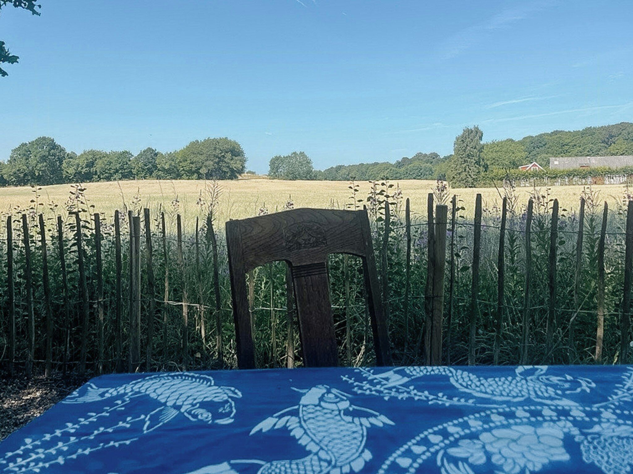 A table with a blue tablecloth featuring a white pattern, a wooden chair in front, and a view of a field with a fence and trees in the background.