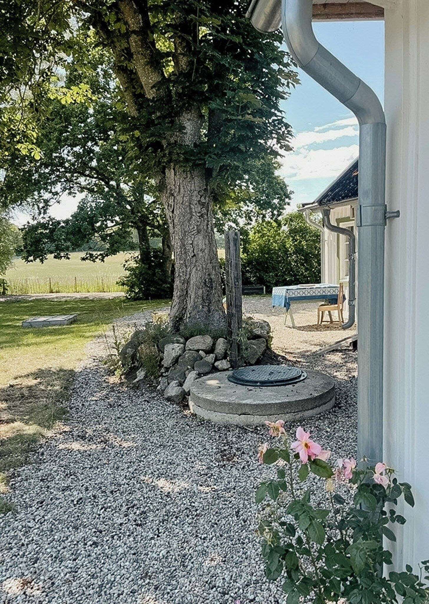 A tree with a stone base, a gravel area, and a building with a blue table and chair.