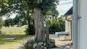 A tree with a stone base, a gravel area, and a building with a blue table and chair.