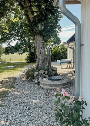 A tree with a stone base, a gravel area, and a building with a blue table and chair. - Scanian longhouse with studio in Österlen (Smedstorp Tomelia)