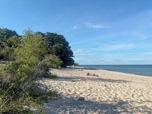 Uma praia arenosa com árvores e céu claro.