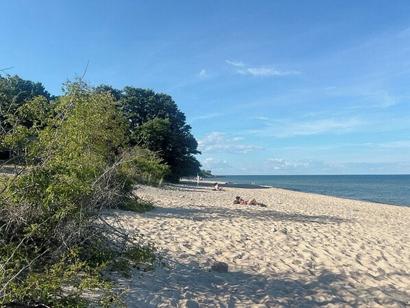 A sandy beach with trees and a clear sky.