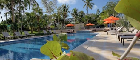 A swimming pool with lounge chairs and umbrellas, surrounded by palm trees.
