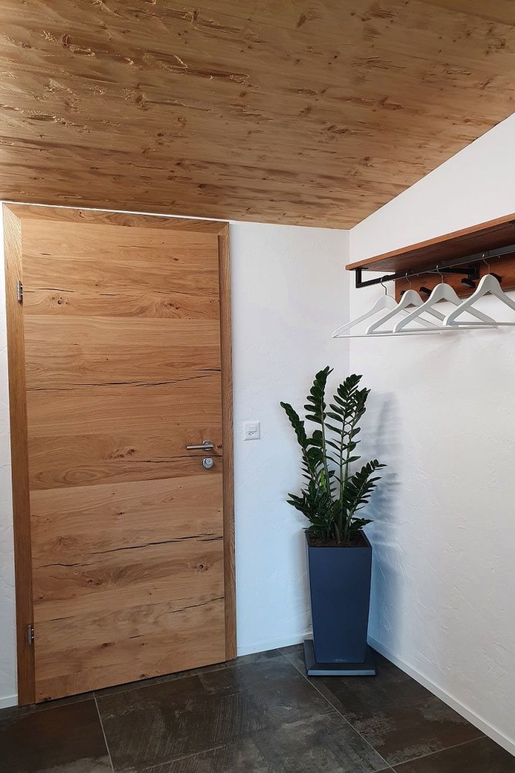 Une porte en bois, une plante en pot et un portant à vêtements dans une pièce aux murs blancs et au plancher foncé.