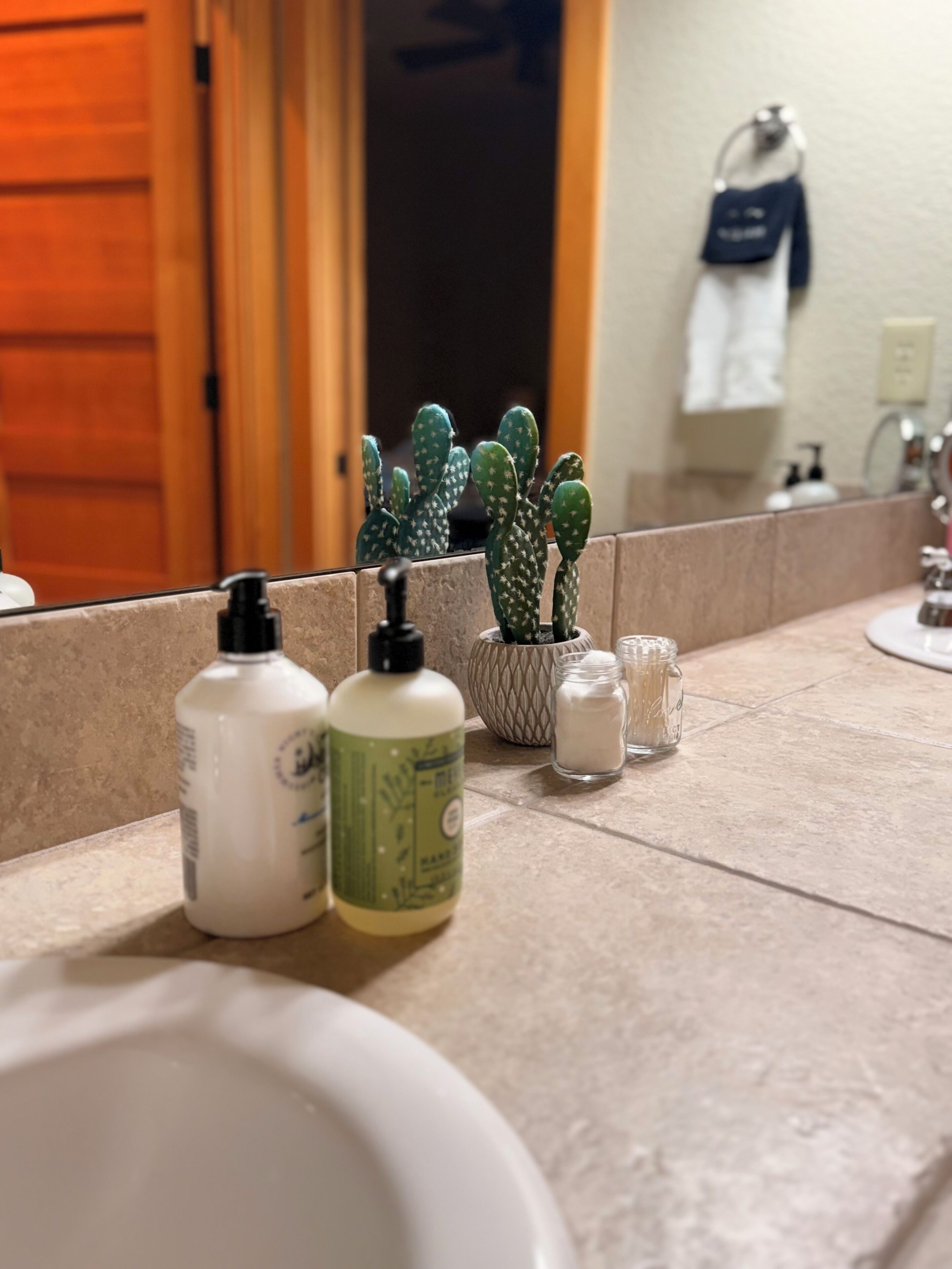 Ein Badezimmer mit Waschbecken, Spiegel, einem Kaktus und Toilettenartikeln auf der Ablagefläche.